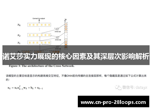 诺艾莎实力展现的核心因素及其深层次影响解析