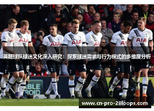 英超球队球迷文化深入研究：探索球迷需求与行为模式的多维度分析