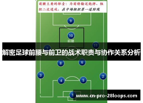 解密足球前腰与前卫的战术职责与协作关系分析