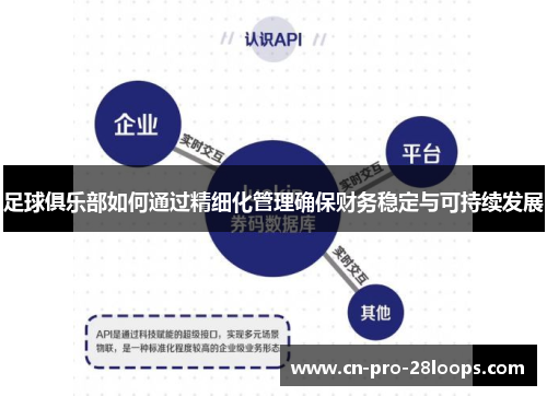 足球俱乐部如何通过精细化管理确保财务稳定与可持续发展